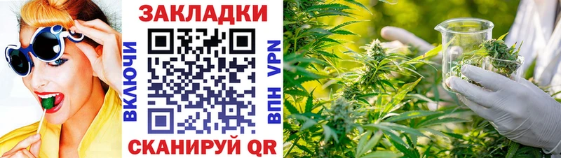 Виды наркотиков купить Ейск Псилоцибиновые грибы  Марихуана  КОКАИН  А ПВП 
