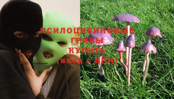 винт Алексеевка