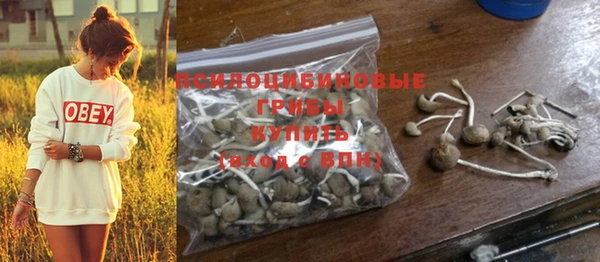 винт Алексеевка