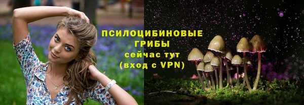 дурь Алзамай