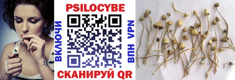 Псилоцибиновые грибы Cubensis  Ейск 