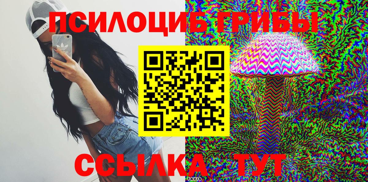 Галлюциногенные грибы Psilocybine cubensis Ейск