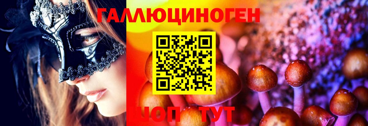 Галлюциногенные грибы MAGIC MUSHROOMS  Псилоцибиновые грибы прущие грибы  Ейск  Вход с VPN 